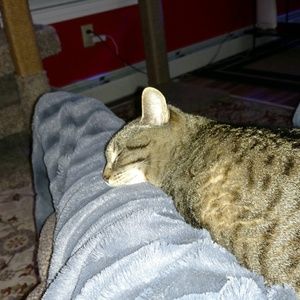 Meet your Posher, Cindy